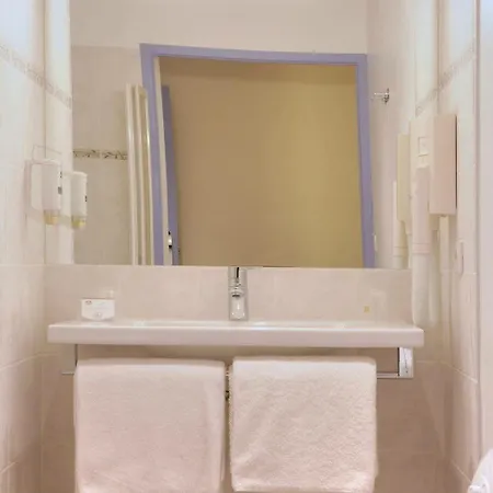 Western Le Sud Hotel