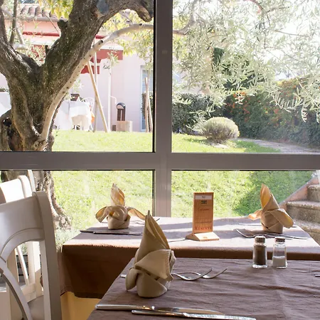 Western Le Sud Hotel