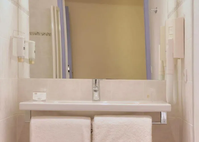 Western Le Sud Hotel